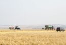 Олег Мельниченко сообщил о сборе 1 млн тонн зерновых в Пензенской области